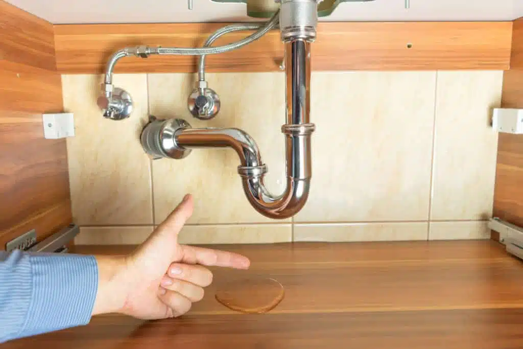 Under Sink Storage For Kitchens and Bathrooms 2 sink storage
