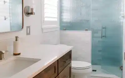 Glass Shower Door Options